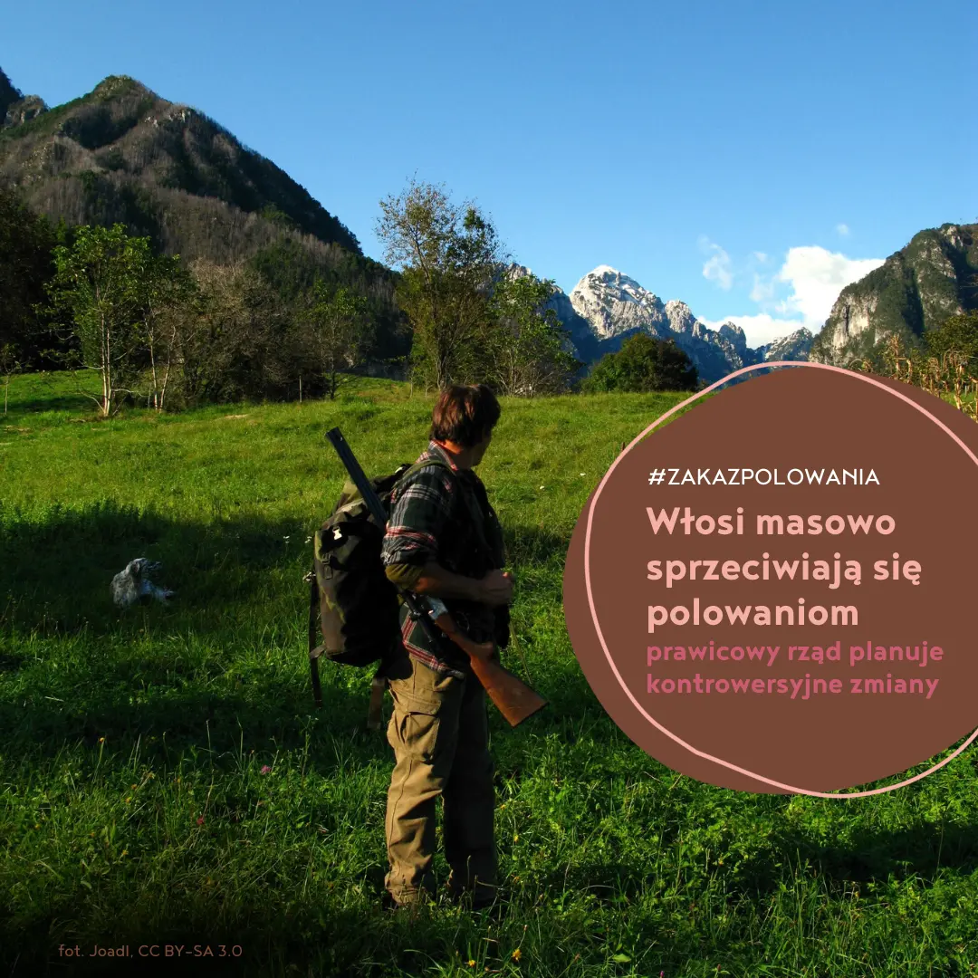 Włosi masowo sprzeciwiają się polowaniom