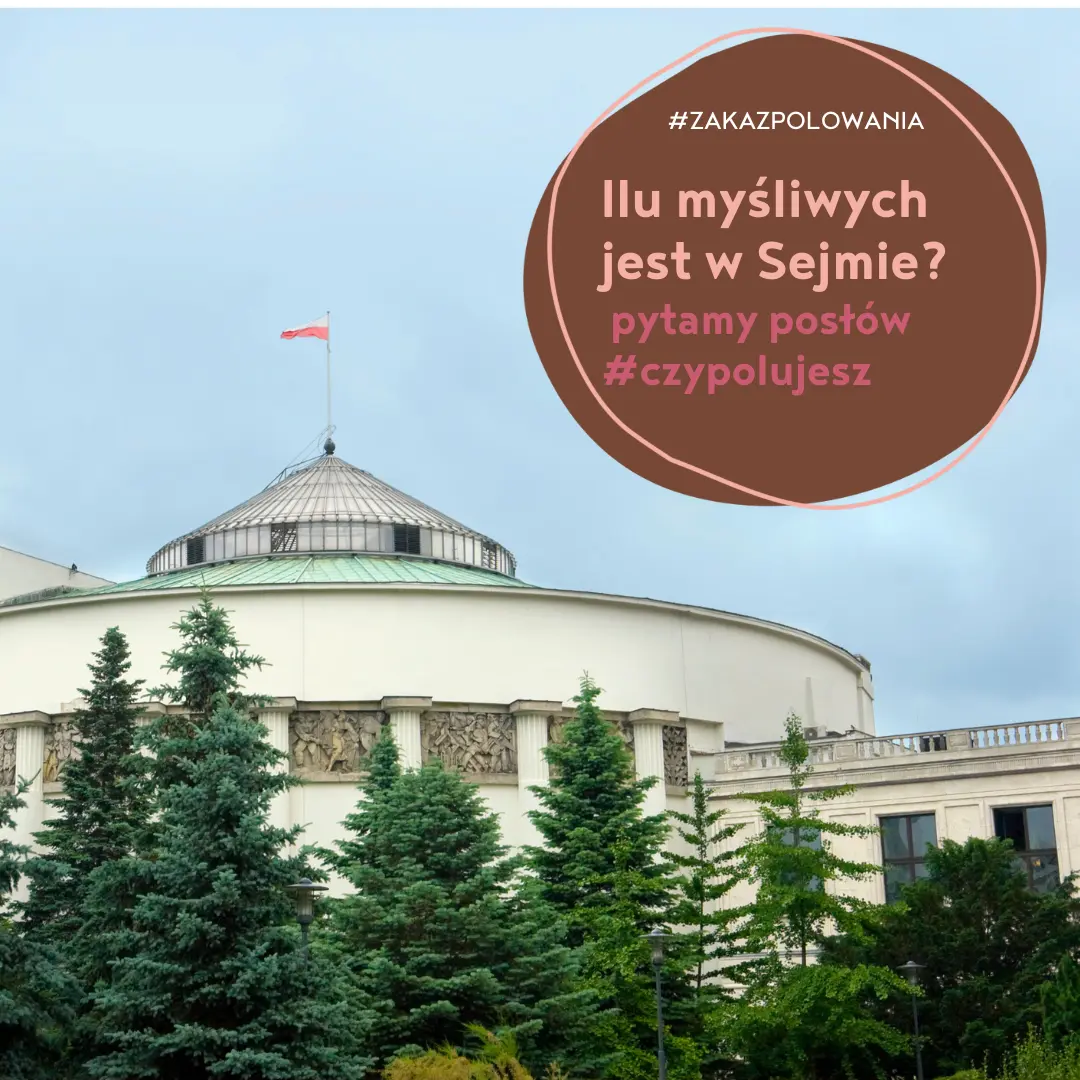 ilu myśliwych jest w Sejmie? pytamy #czypolujesz