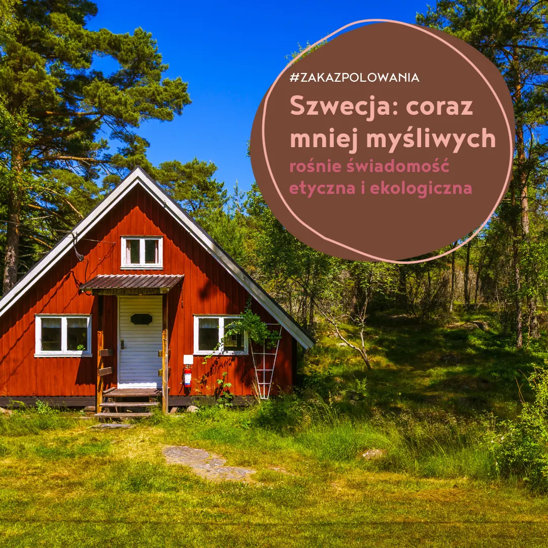 maleje liczba myśliwych i spada popularność łowiectwa w Szwecji