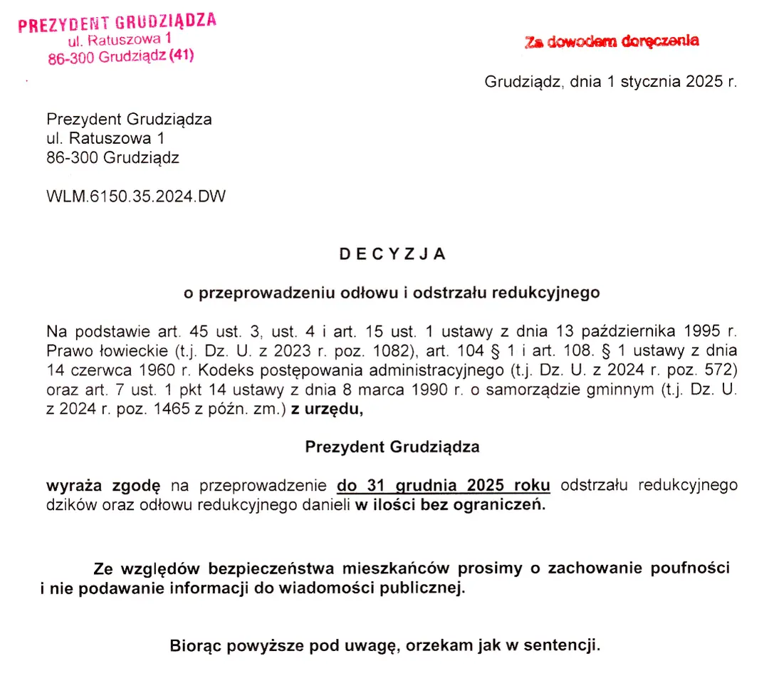 decyzja Prezydenta Grudziądza na odstrzał dzików bez ograniczeń