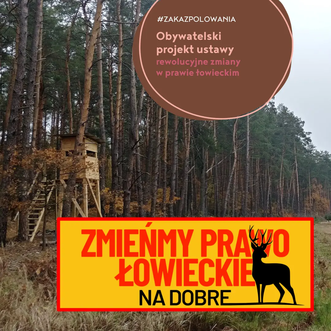 rewolucyjny projekt zmian w prawie łowieckim