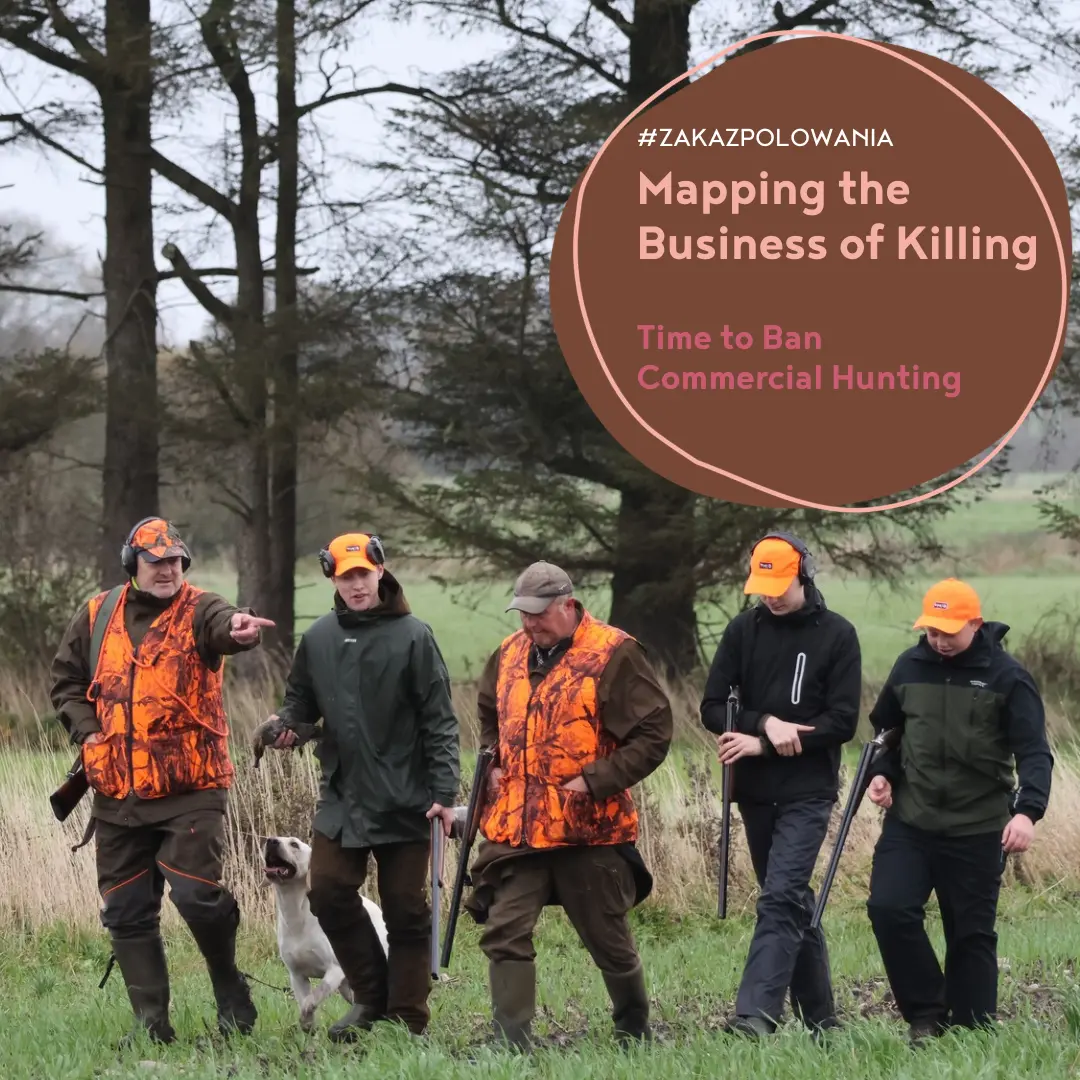 Time to Ban Commercial Hunting