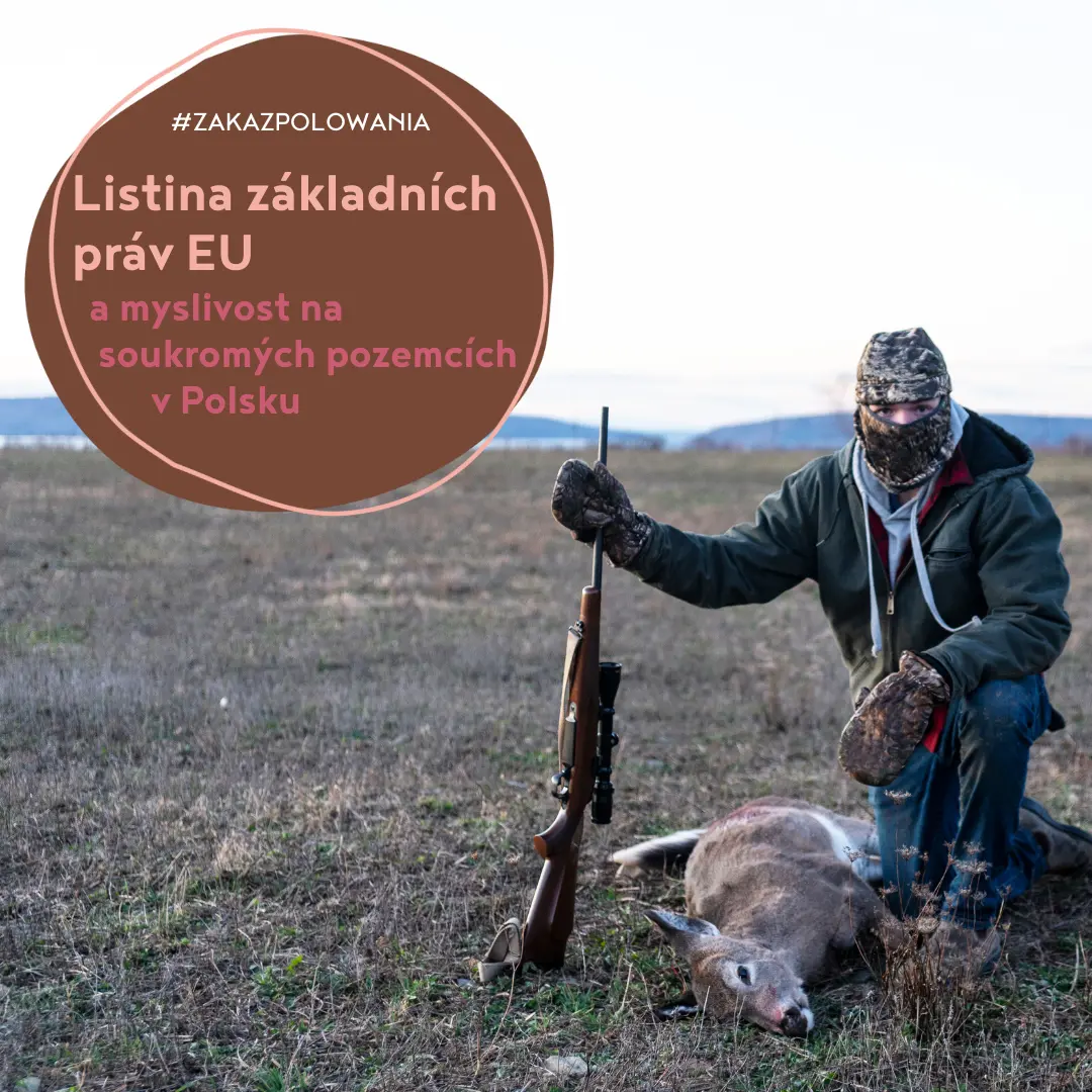 Myslivost na soukromých pozemcích a Listina základních práv