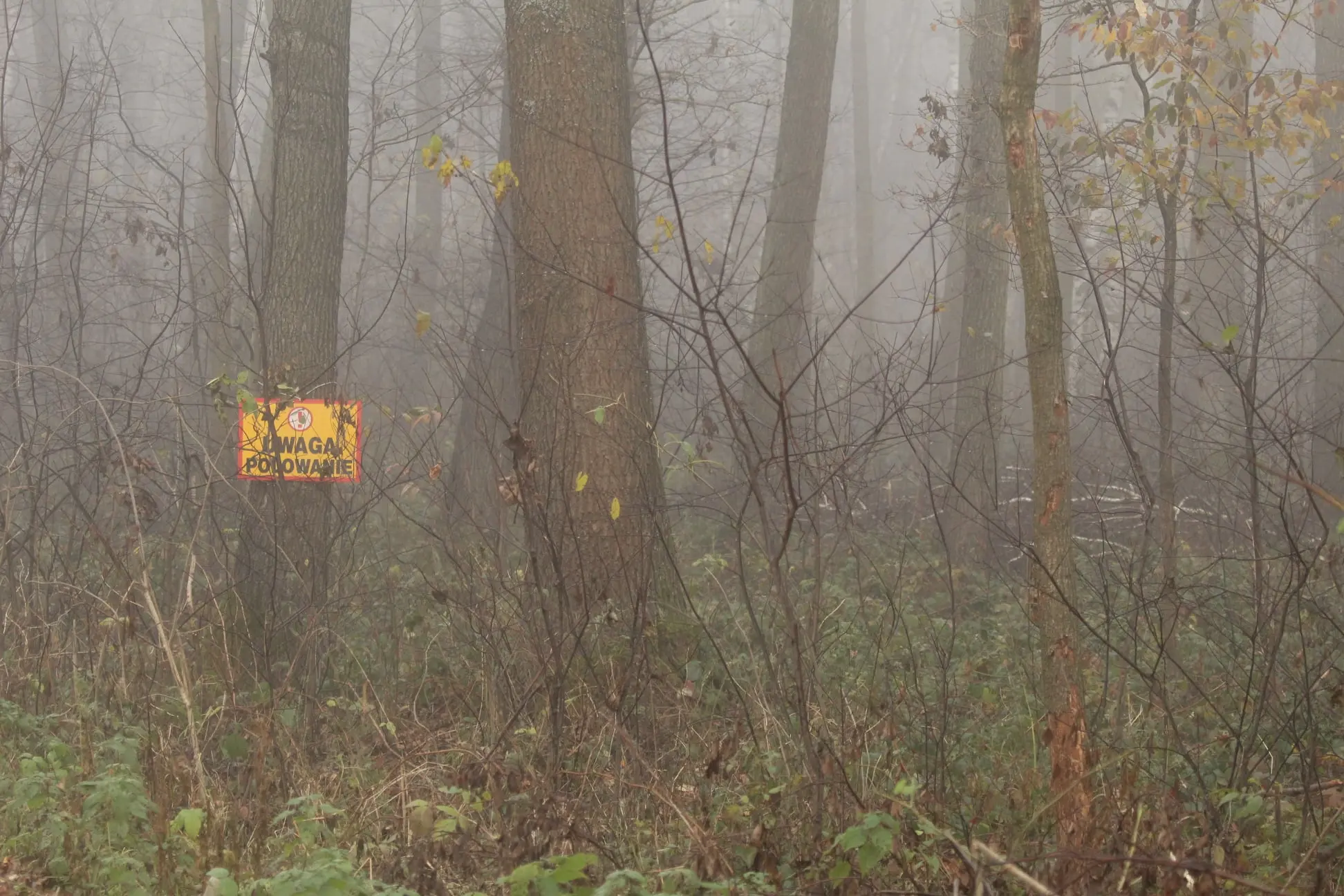 tabliczka ostrzegająca przed polowaniem w lesie