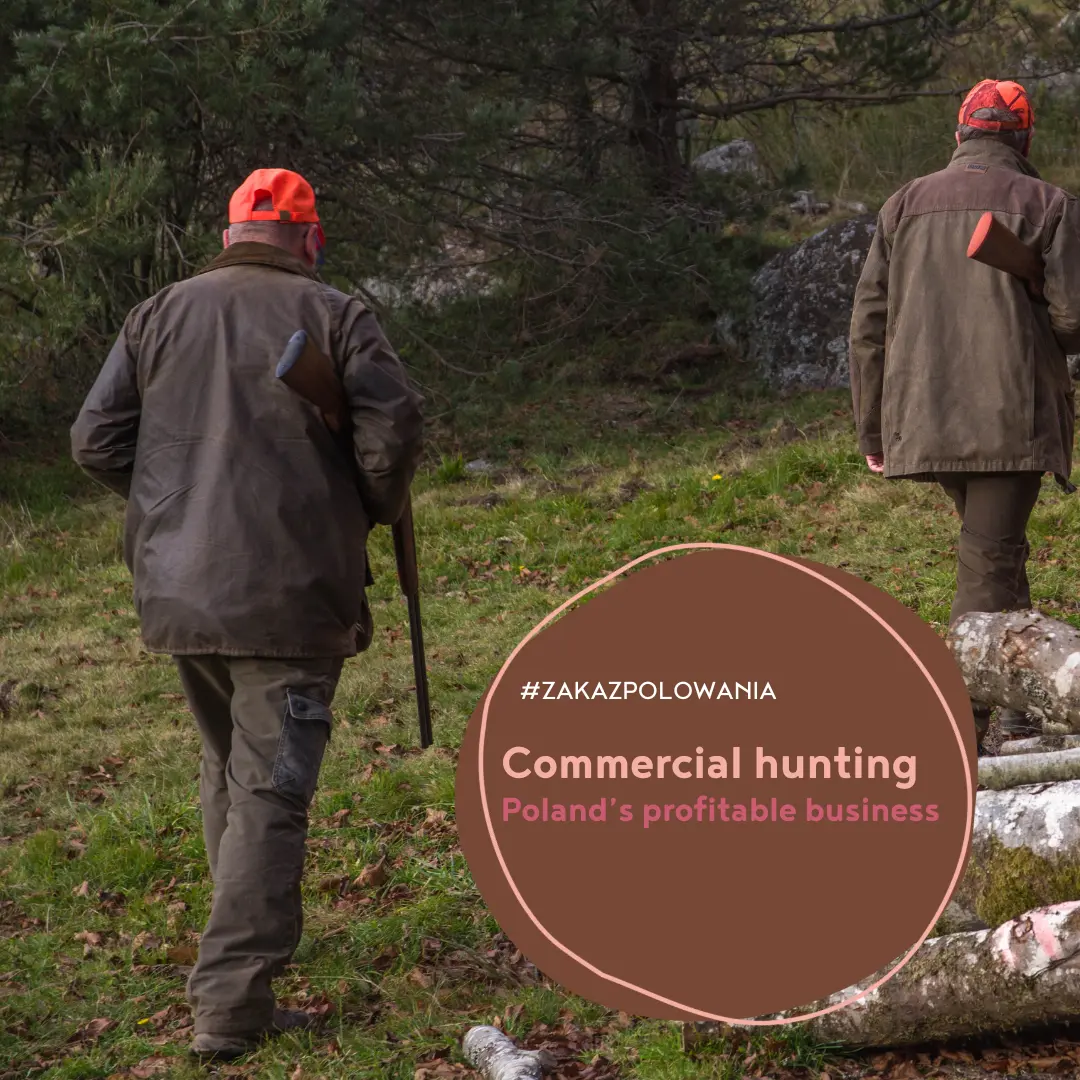 commercial hunting in Poland - profitable business