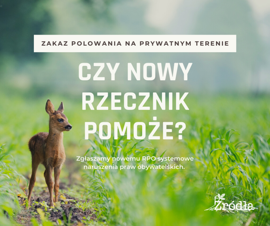 Czy nowy rzecznik pomoże?