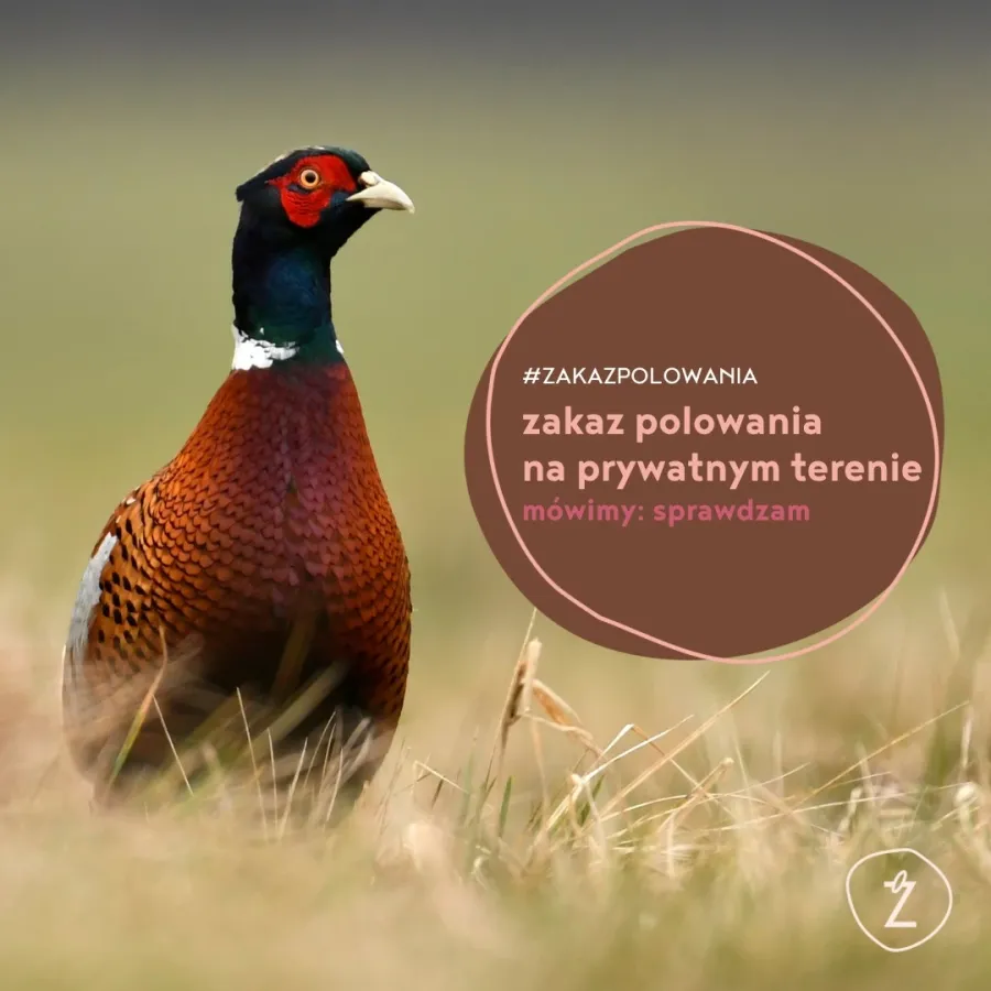 sprawdzamy ilość oświadczeń o zakazie polowania
