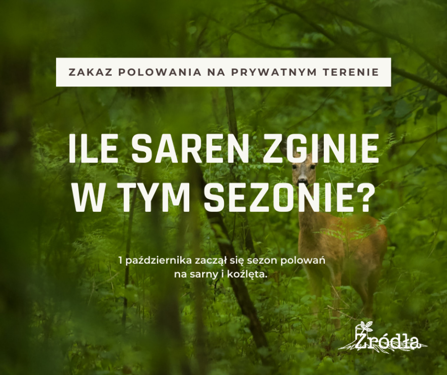 Ile saren zginie w tym sezonie?