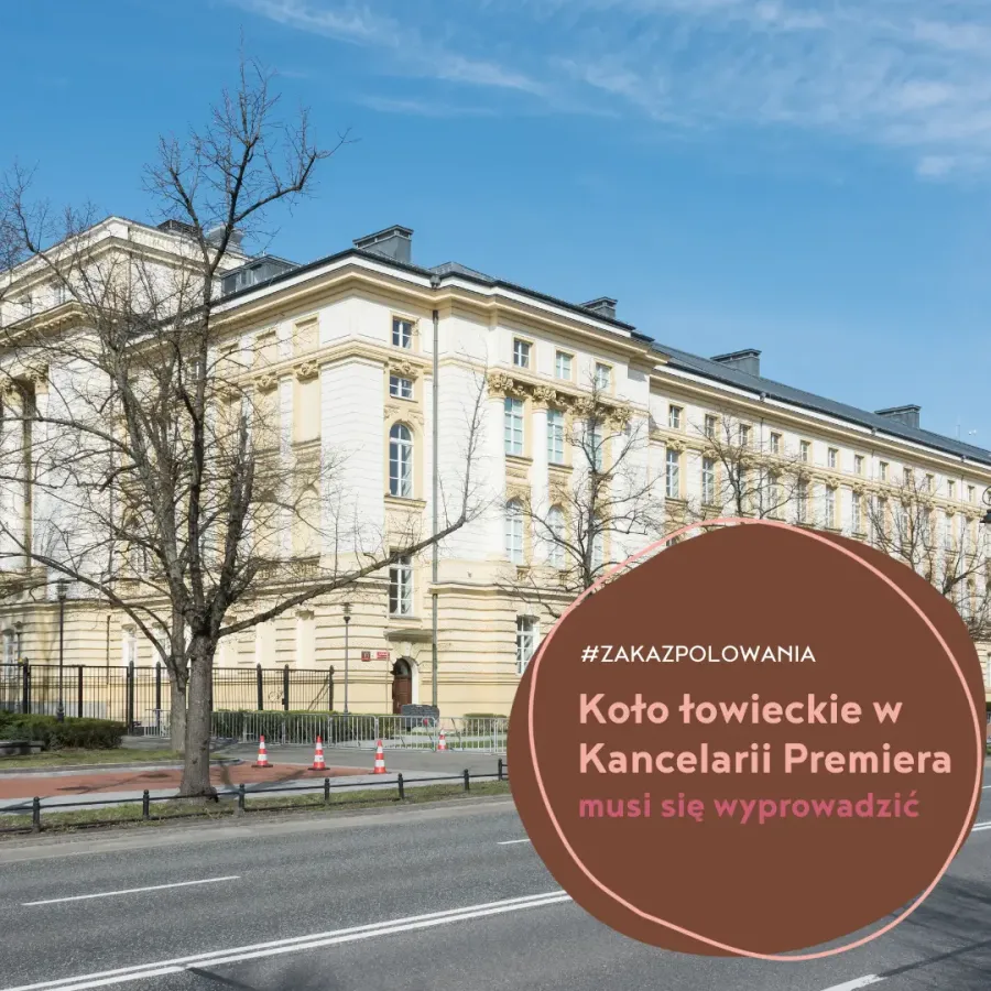 Koło łowieckie w Kancelarii Premiera - musi się wyprowadzić