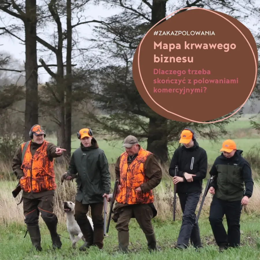 Mapa krwawego biznesu
