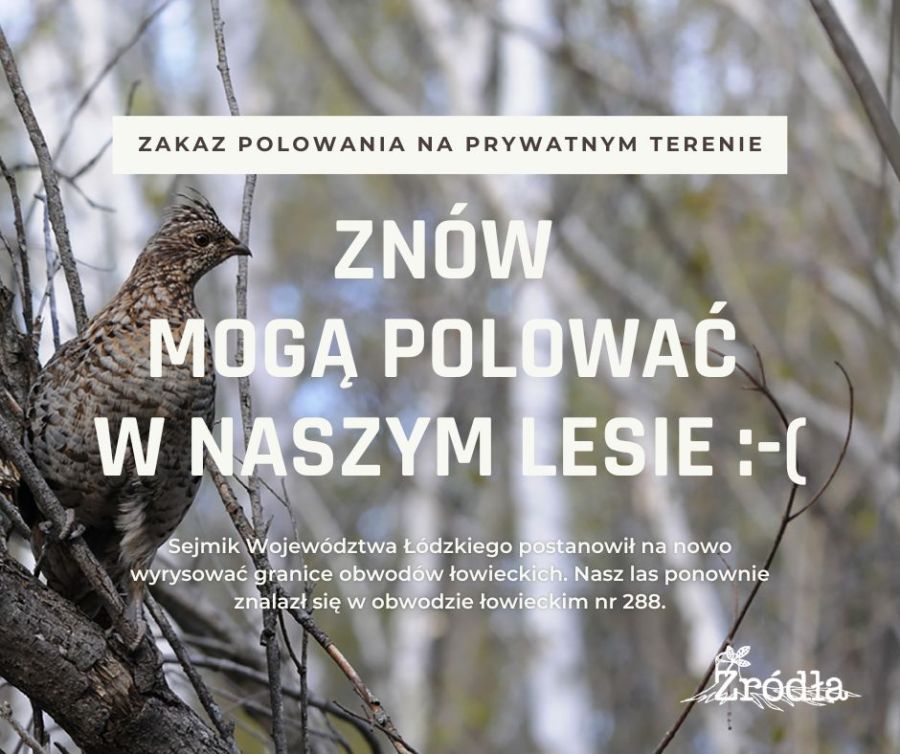 Las Źródeł ponownie w obwodzie łowieckim :-(