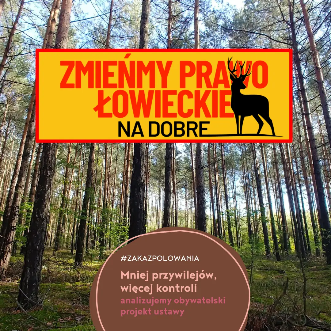 analizujemy obywatelski projekt ustawy