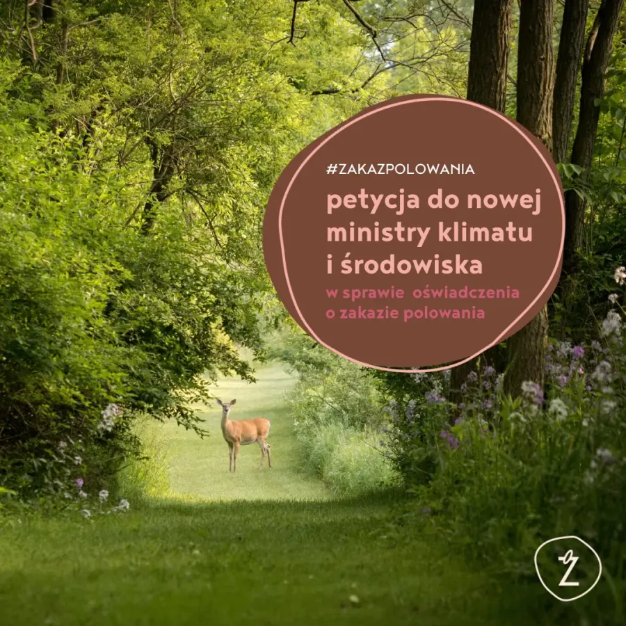 obrazek przedstawiający sarnę stojącą pod lasem oraz napis petycja do ministry