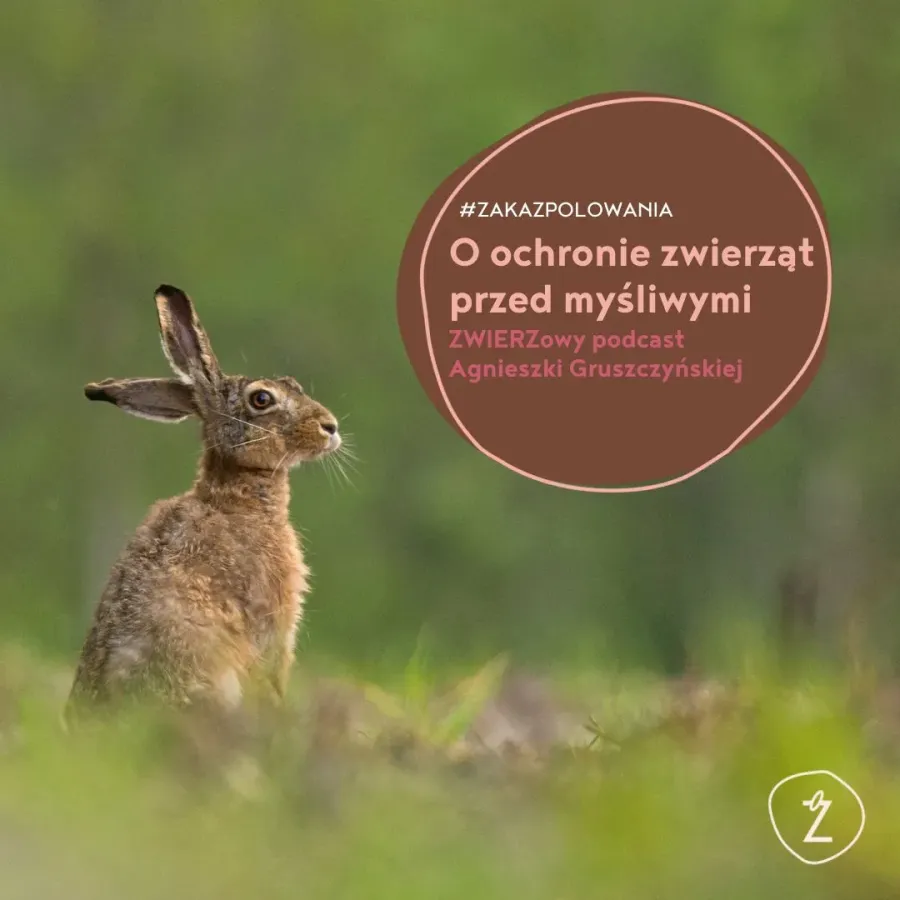 podcast Agnieszki Gruszczyńskiej
