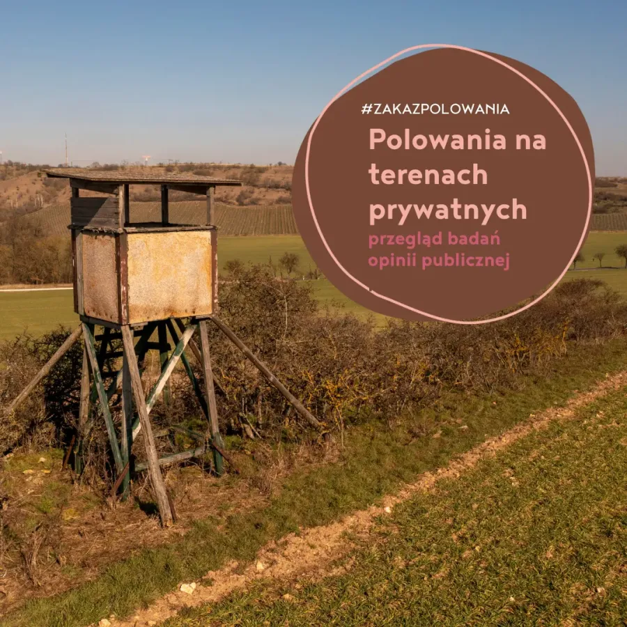 obrazek przedstawiający ambonę myśliwską stojącą na czyimś prywatnym polu