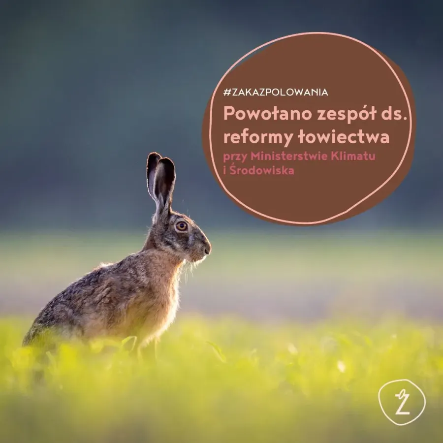 powołano zespół ds. reformy łowiectwa
