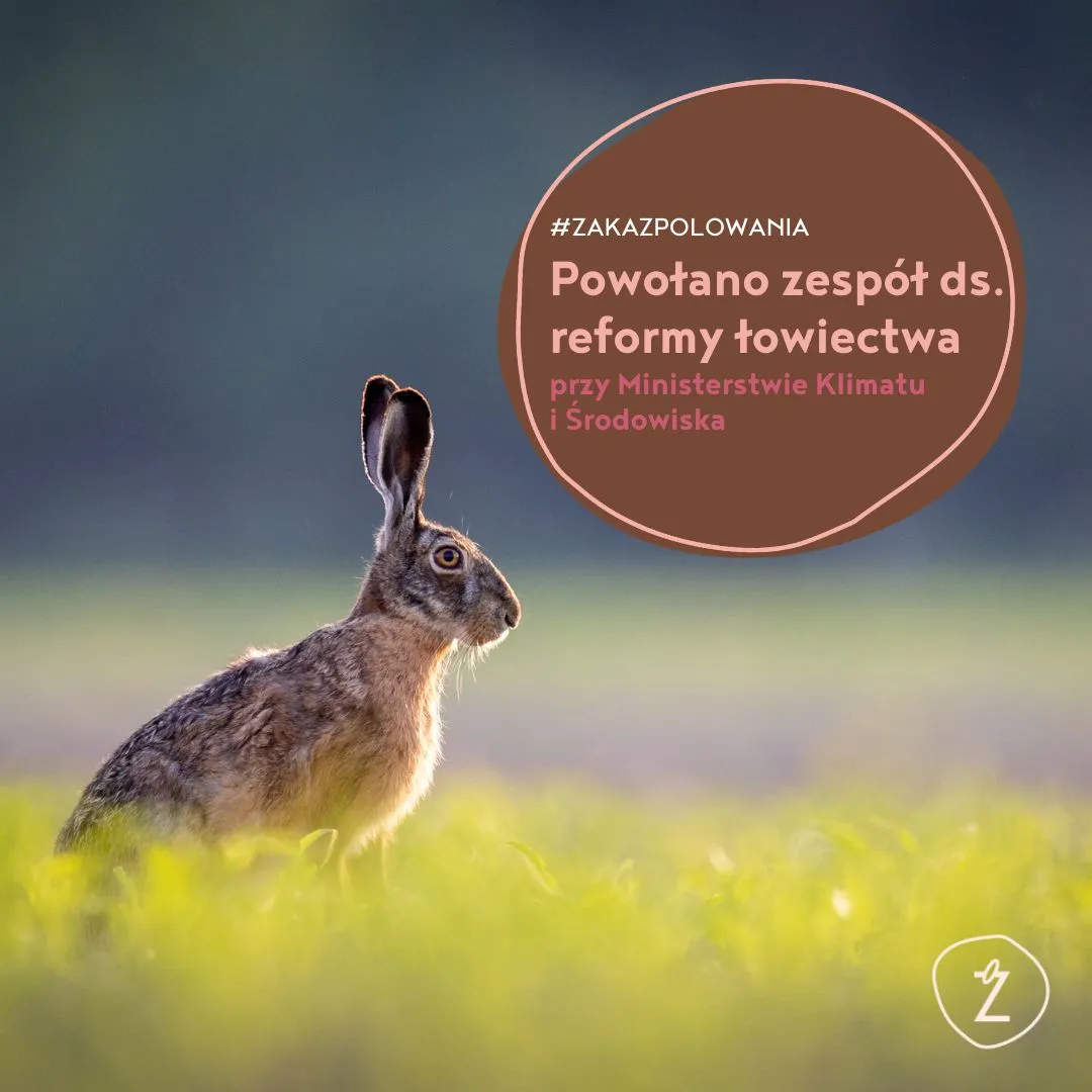 powołano zespół ds. reformy łowiectwa