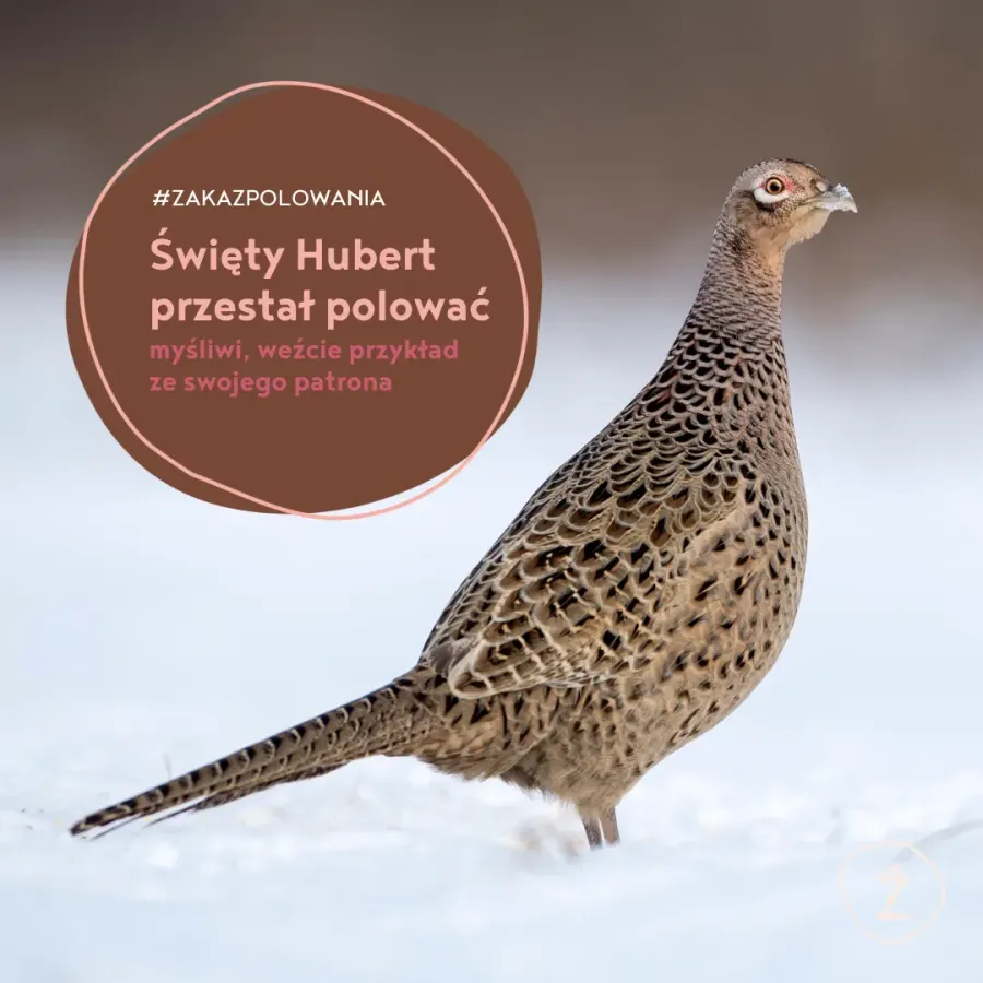 święty Hubert przestał polować