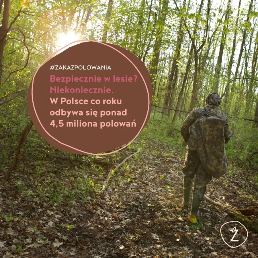 w Polsce rocznie odbywa się ponad 4,5 miliona polowań