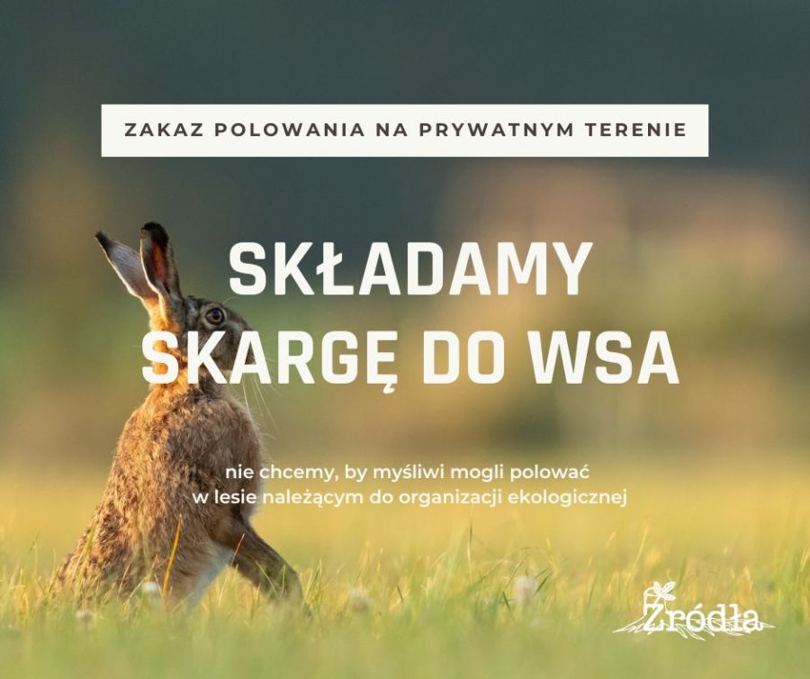 Składamy skargę do WSA