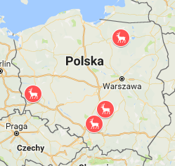 Zwierzęta górą
