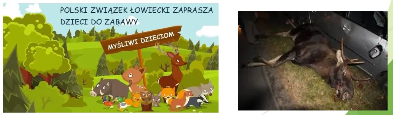 Polski Związek Łowiecie zaprasza do zabawy