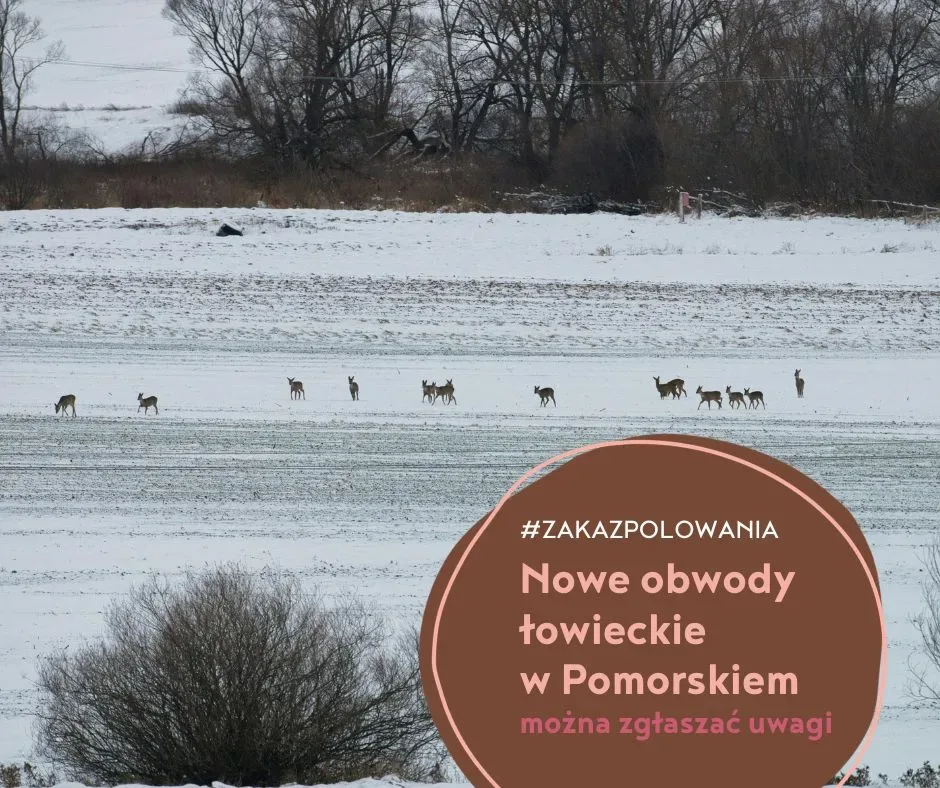 nowe obwody łowieckie w województwie pomorskim